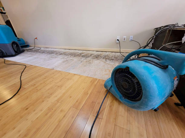 Professional Flood Damage Cleanup technician working in Shenandoah, TX
